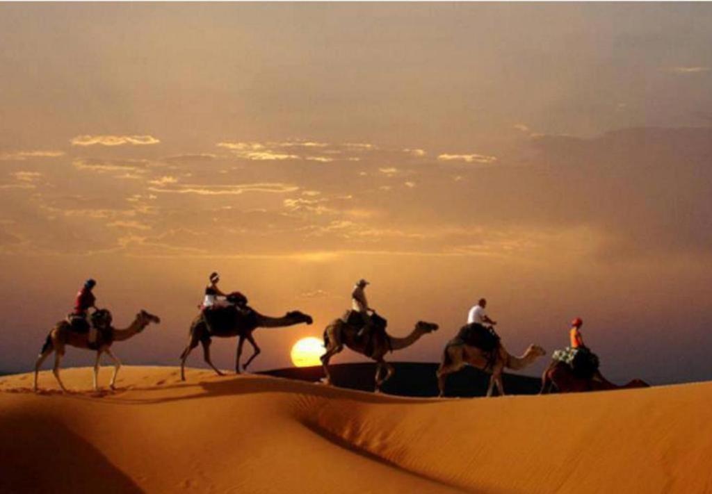Camp Sahara Majestic Bed & Breakfast M'Hamid Eksteriør bilde