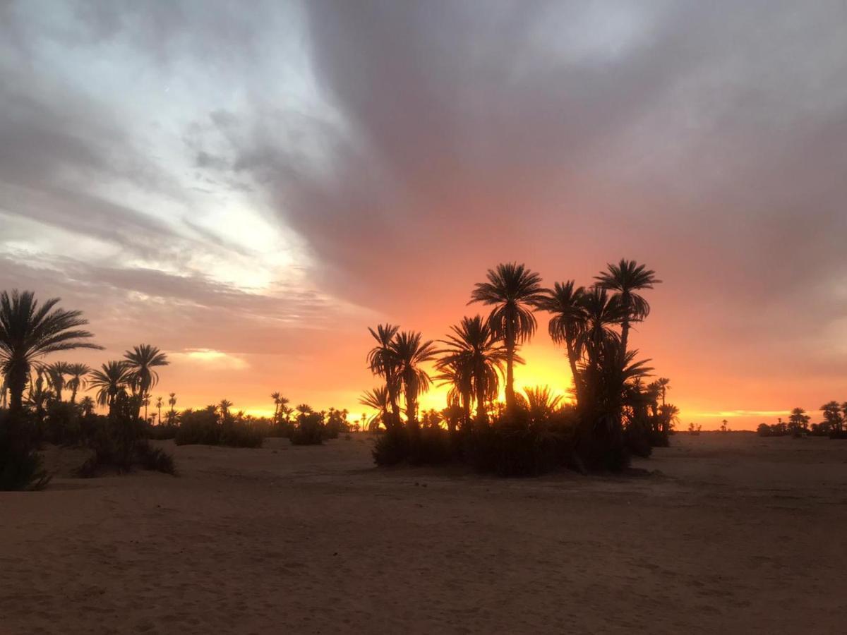 Camp Sahara Majestic Bed & Breakfast M'Hamid Eksteriør bilde