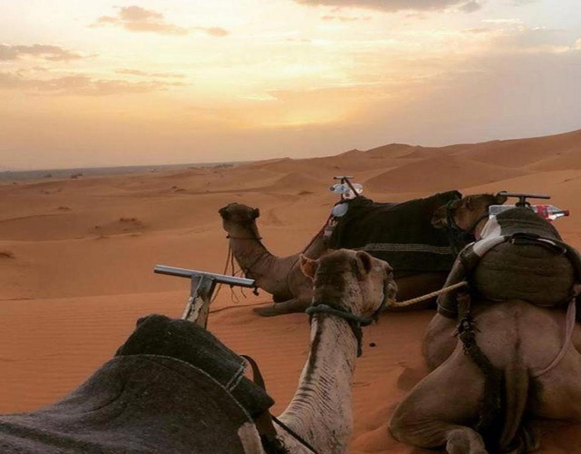 Camp Sahara Majestic Bed & Breakfast M'Hamid Eksteriør bilde